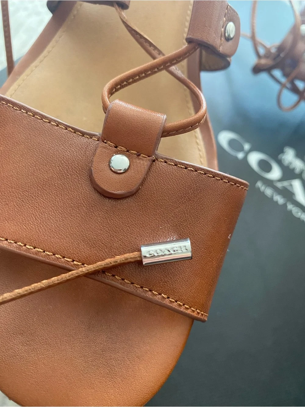 COACH Barkley Semi Matte Calf Lace-Up Wedge Sandal